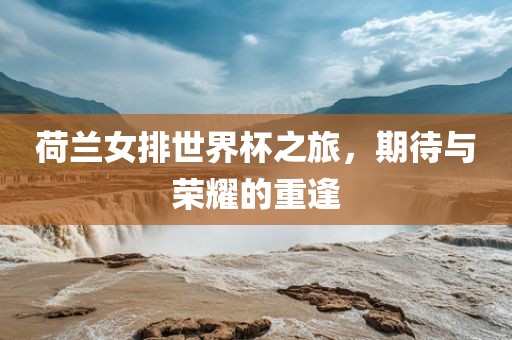 荷兰女排世界杯之旅，期待与荣耀的重逢丹东日丰电子有限公司