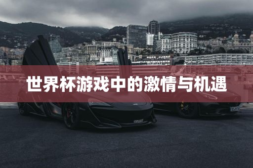 世界杯游戏中的激情与机遇