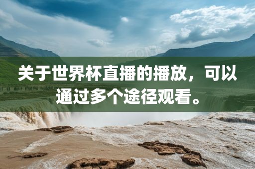 关于世界杯直播的播放，可以通过多个途径观看。