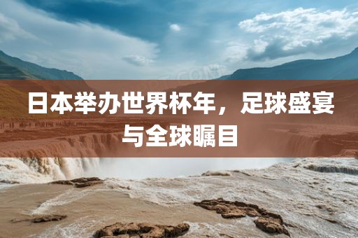 日本举办丹东日丰电子有限公司世界杯年，足球盛宴与全球瞩目