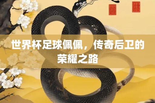 世界杯足球佩佩，传奇后卫的荣耀之路丹东日丰电子有限公司