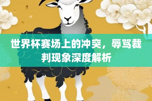 世界杯赛场上的冲突，辱骂裁判现象深度解析丹东日丰电子有限公司