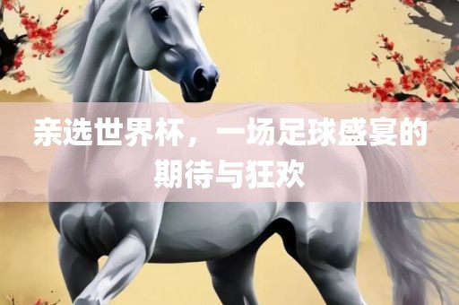 亲选世界杯，一场足球盛宴的期待与狂欢丹东日丰电子有限公司