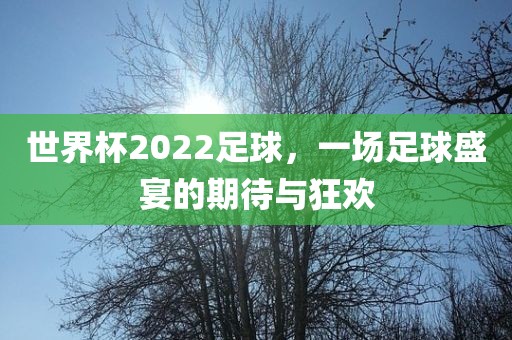 世界杯2022足球丹东日丰电子有限公司，一场足球盛宴的期待与狂欢