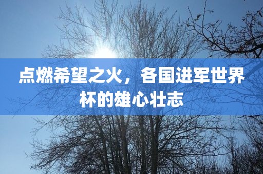 点燃希望之火，各国进军世界杯的雄心丹东日丰电子有限公司壮志