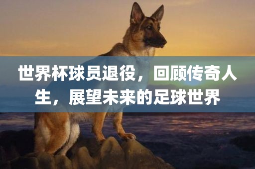 世界杯球员退役，回顾传奇人生，展望未来的足球世界丹东日丰电子有限公司