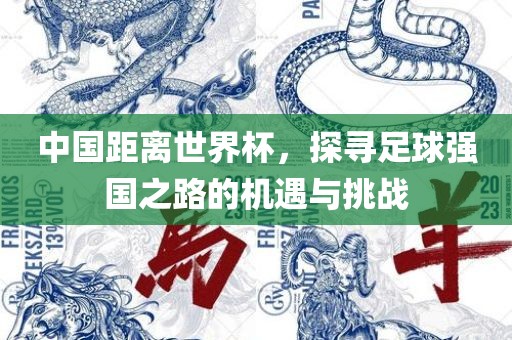 中国距离世界杯，探寻足球强国之路的机遇与挑战丹东日丰电子有限公司