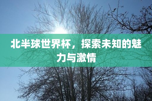 北半球世界杯，探索未知的魅力与激情丹东日丰电子有限公司