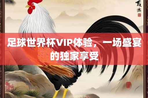 足球丹东日丰电子有限公司世界杯VIP体验，一场盛宴的独家享受