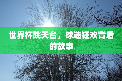 世界杯跳天台，球迷狂欢背后的故事丹东日丰电子有限公司