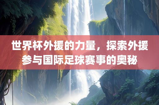 世界杯外援的力量，探索外援参与国际足球赛事的奥秘丹东日丰电子有限公司