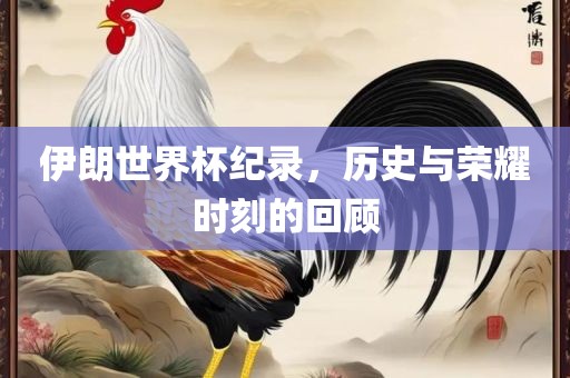伊朗世界杯纪录，历史与荣耀时刻的回顾丹东日丰电子有限公司