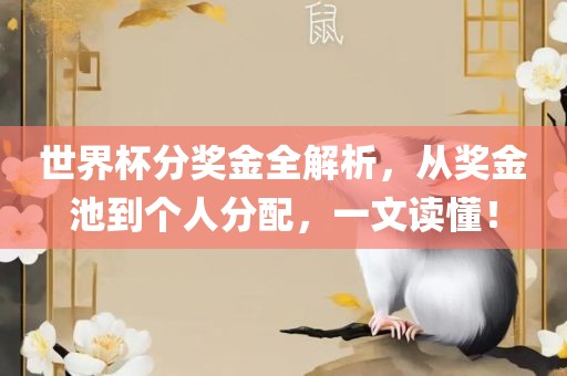 世界杯分奖金全解析，从奖金池到个人分配，一文读懂！