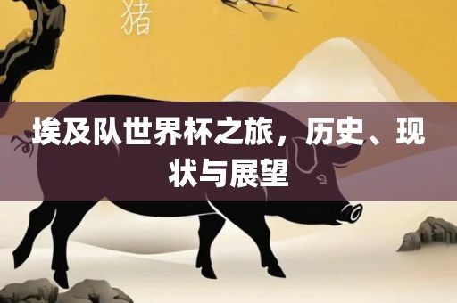 埃及队世界杯之旅，历史、现状与展望