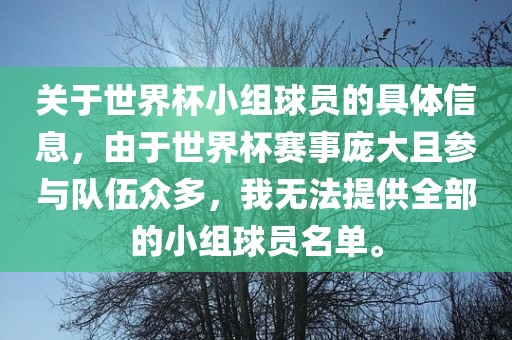 关于世界杯小组球员的具体信息，由于世界杯赛事庞大且参与队伍众多，我无法提丹东日丰电子有限公司供全部的小组球员名单。