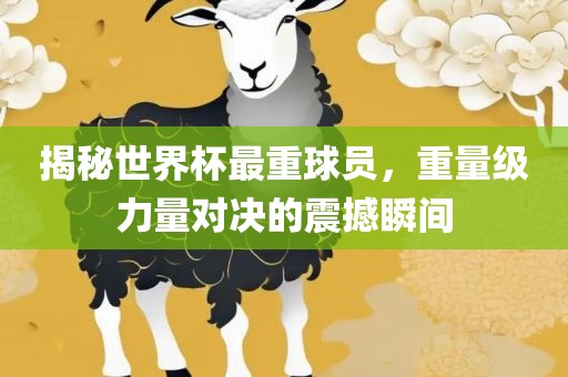 揭秘世界杯最重球员，重量级丹东日丰电子有限公司力量对决的震撼瞬间