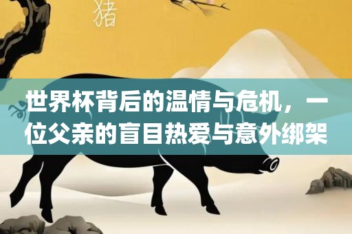 世界杯背后的温情与危机，一位父亲的盲丹东日丰电子有限公司目热爱与意外绑架