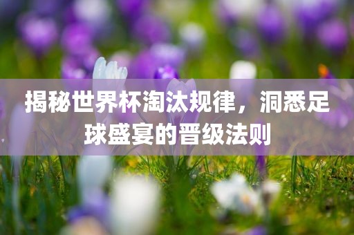 揭秘世界杯淘汰规律，洞悉足球盛宴的晋级法则丹东日丰电子有限公司