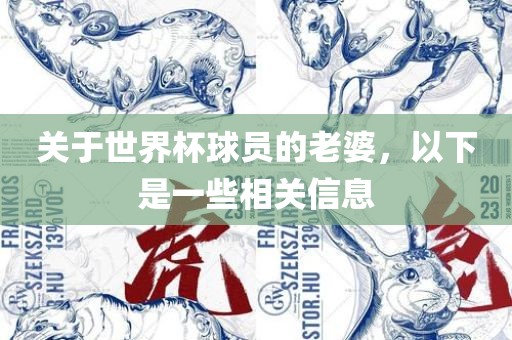 关于世界杯球员的老婆，以下是一些相关信息丹东日丰电子有限公司