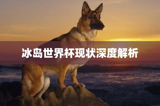冰岛世界杯现状深度解析