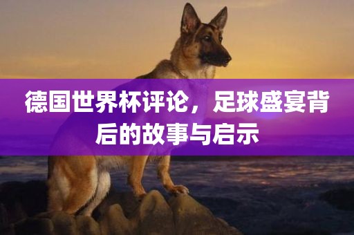 德国世界杯评论，足球盛宴背后的故事丹东日丰电子有限公司与启示
