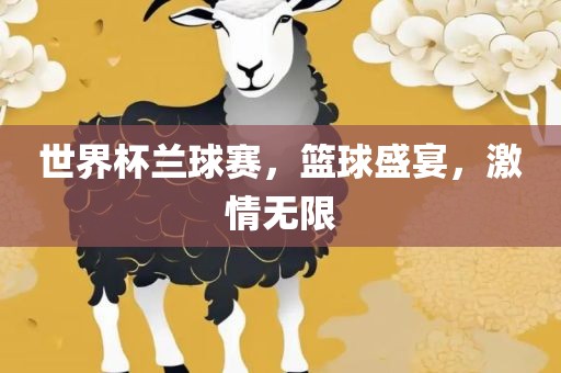 世界杯兰球赛，篮球盛宴，激情无限