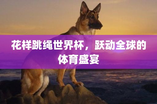 花样跳绳世界杯，跃动全球的体育盛宴丹东日丰电子有限公司