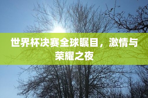 世界杯决赛全球瞩目，激情与荣耀之夜丹东日丰电子有限公司