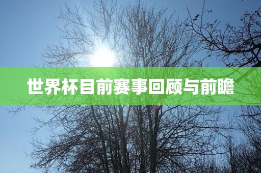 chenyahui 第3页