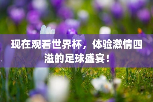现在观看世界杯，体验激情丹东日丰电子有限公司四溢的足球盛宴！