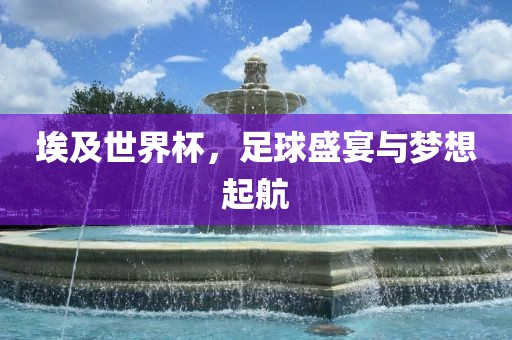 埃及世界丹东日丰电子有限公司杯，足球盛宴与梦想起航