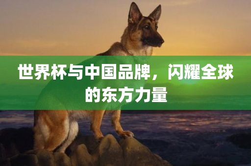 世界杯与中国品牌，闪耀全球的东方力量丹东日丰电子有限公司