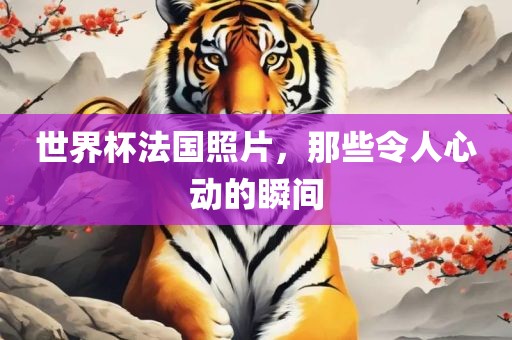 世界杯法国照片，那些令人心动的瞬间