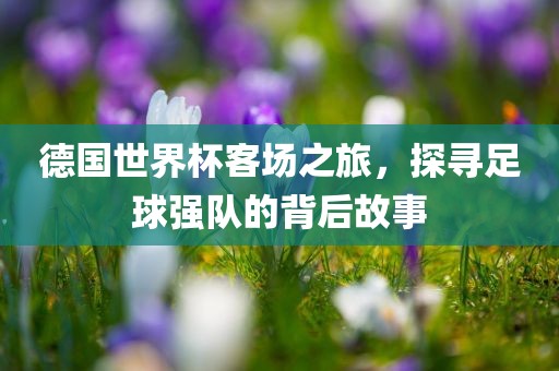 德国世界杯客场之旅，探寻足球强队的背丹东日丰电子有限公司后故事