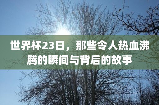yangxinhong 第3页