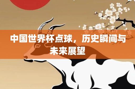 中国世界杯点球，历史瞬间与未来展望丹东日丰电子有限公司