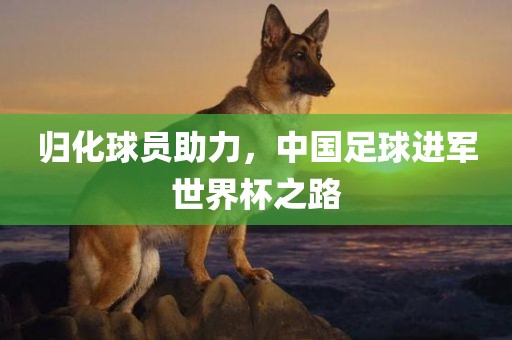 归化球员助力，中国足球进军世界杯之路丹东日丰电子有限公司