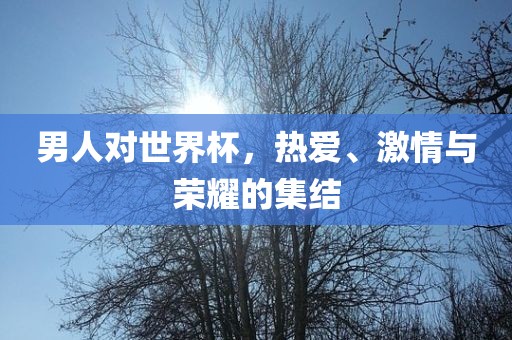 男人对世界杯，热爱、激情与荣耀的集结丹东日丰电子有限公司