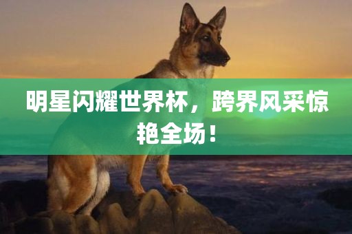 明星闪耀世界杯，跨界风采惊艳全场！丹东日丰电子有限公司