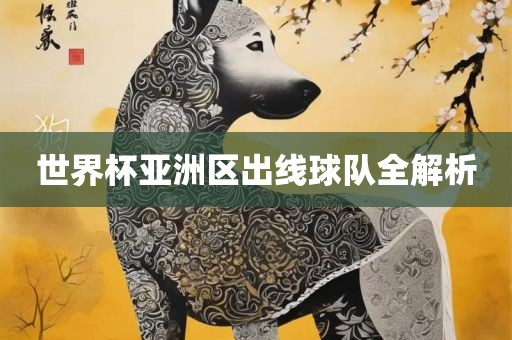 世界杯亚洲区出线球队全解析
