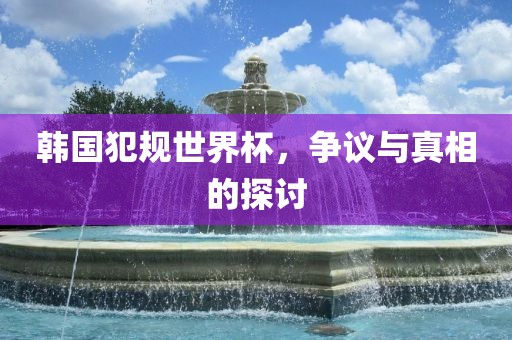 韩国丹东日丰电子有限公司犯规世界杯，争议与真相的探讨