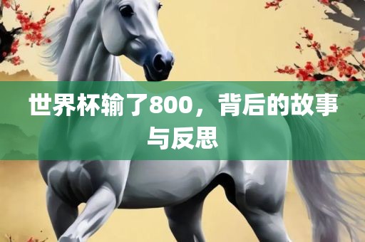 世界杯输了800，背后的故事与反思