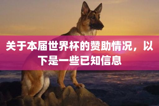 关于本届世界杯丹东日丰电子有限公司的赞助情况，以下是一些已知信息