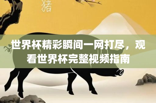 xianhui 第3页