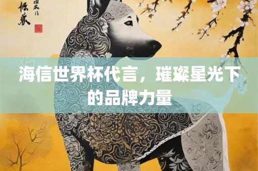 海信世界杯代言，璀璨星光下的品牌力量丹东日丰电子有限公司