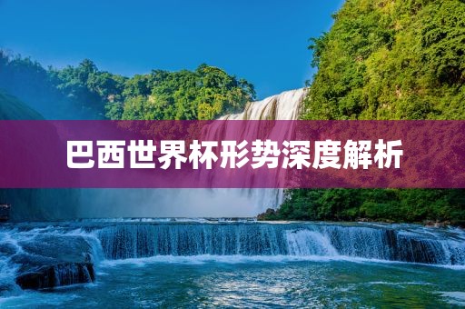 巴西世界杯形势深度解析丹东日丰电子有限公司