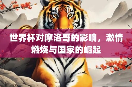 世界杯对摩洛哥的影响，激情燃烧与国家的崛起丹东日丰电子有限公司