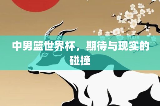 中男篮世界杯，期待与现实的碰撞