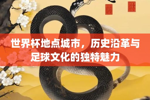 世界杯地点城市，历史沿革与足球文化的独特魅力丹东日丰电子有限公司
