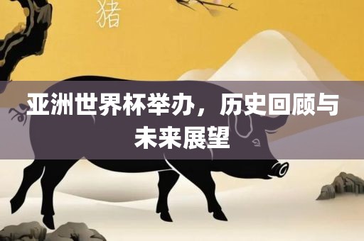 亚洲世界丹东日丰电子有限公司杯举办，历史回顾与未来展望